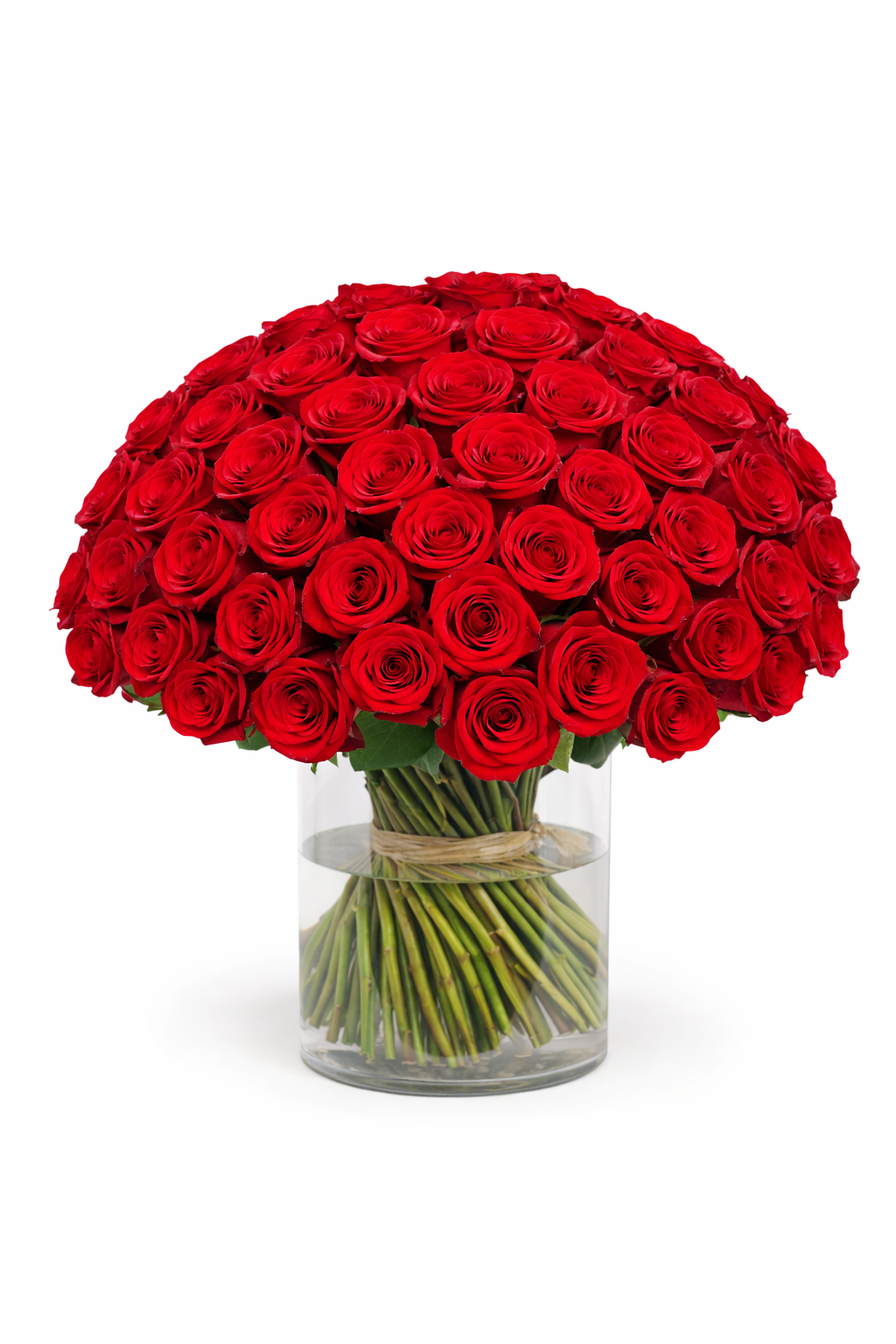 Red Rose Vase