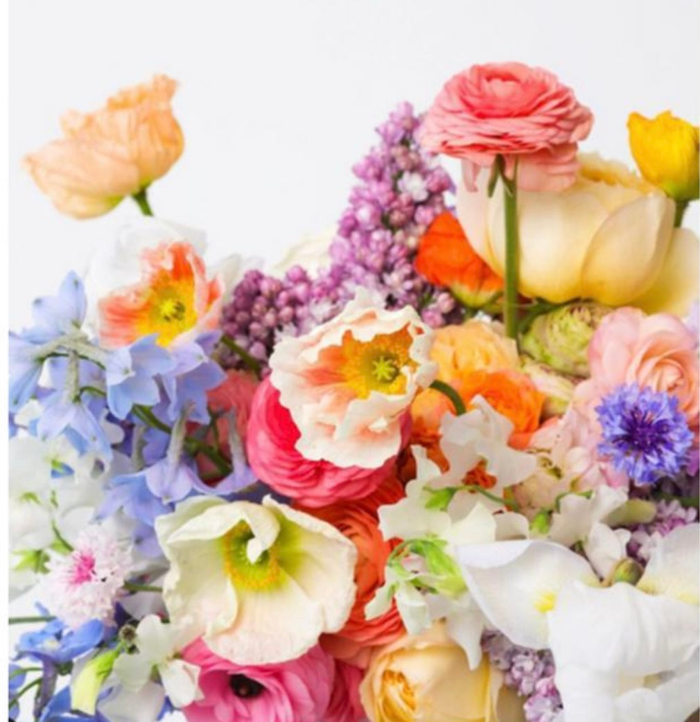 Veronica Albarran Birthday
