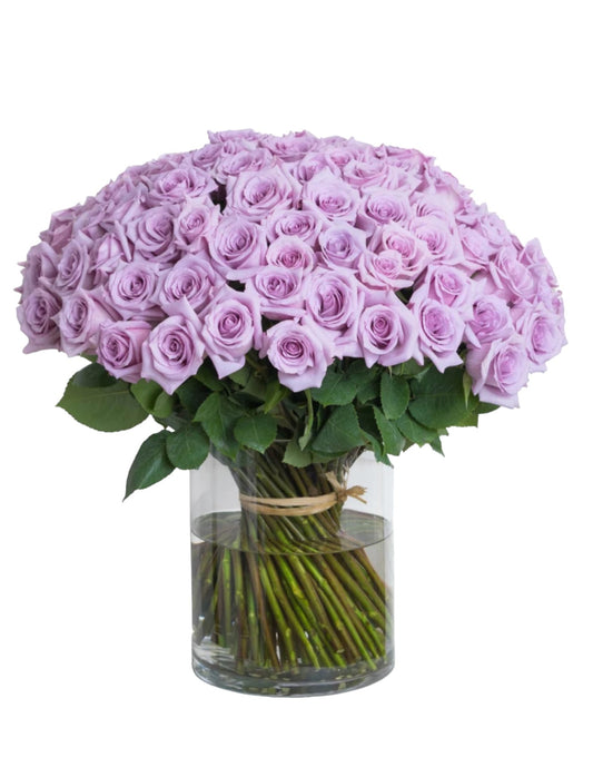 Memory Lane Rose