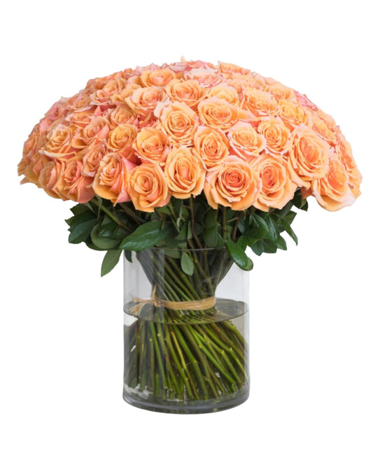 Peach Rose