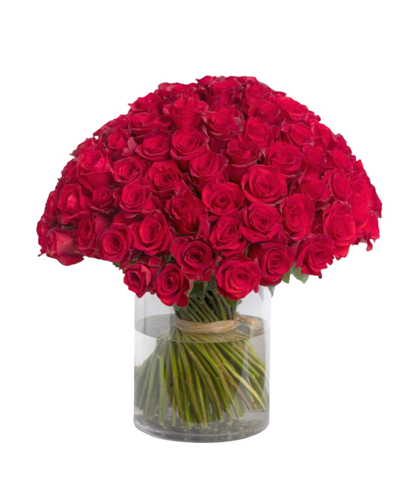 Red Rose Vase