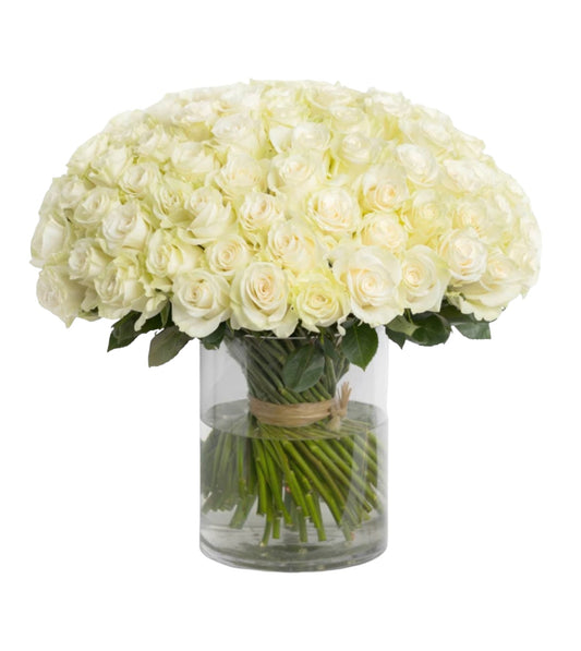 Avalanche White Rose