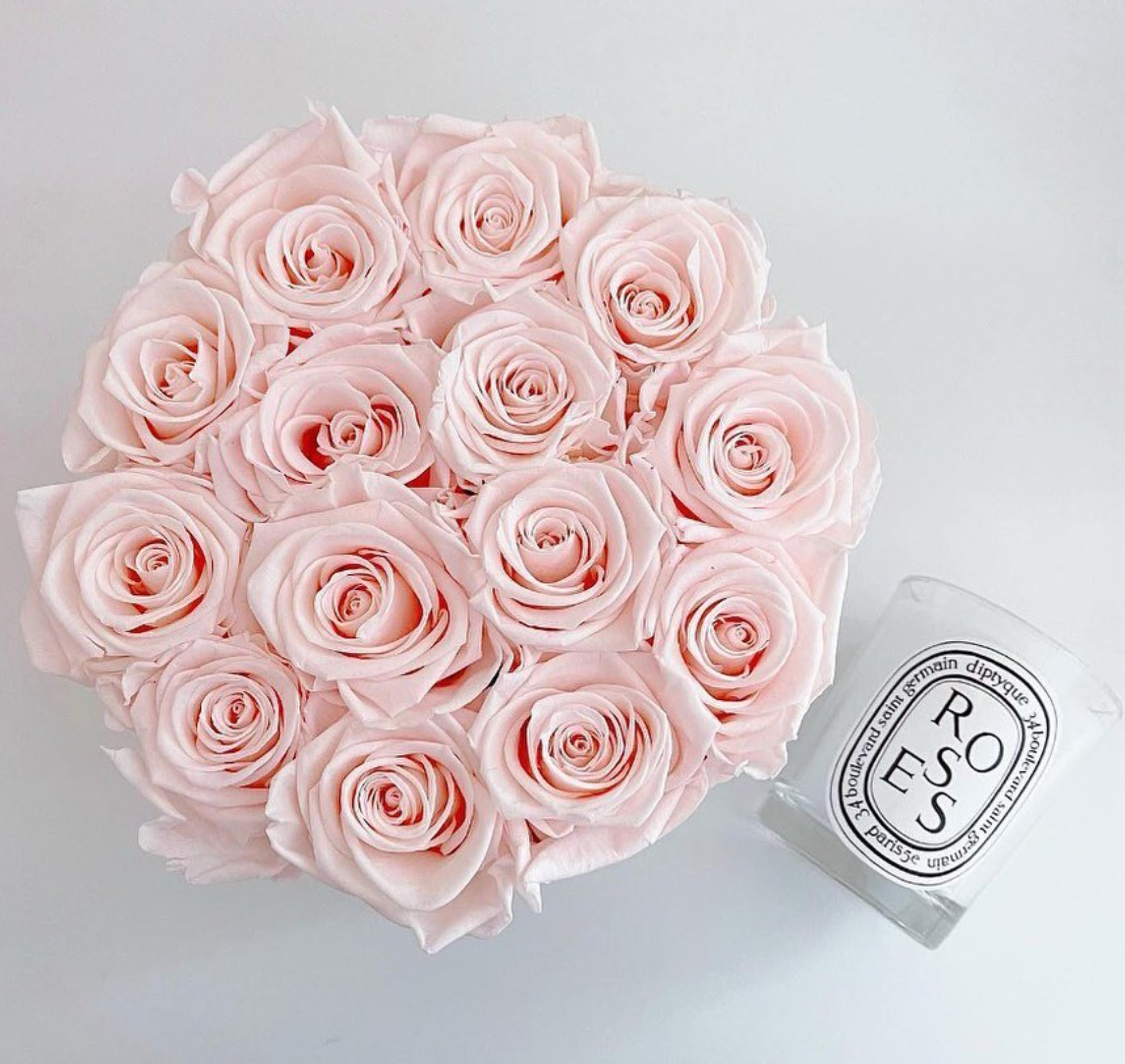 Hand Picked Roses Why Handpicked Premium Roses Reign Supreme in Floral Design? – Amara Floral