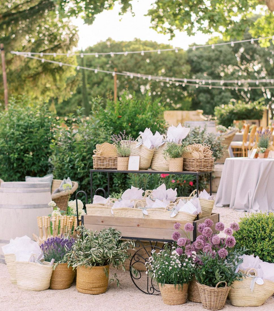 Factors to Consider When Choosing Flowers for Outdoor Events