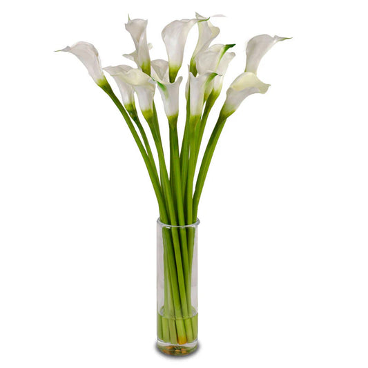 White Cala Lily